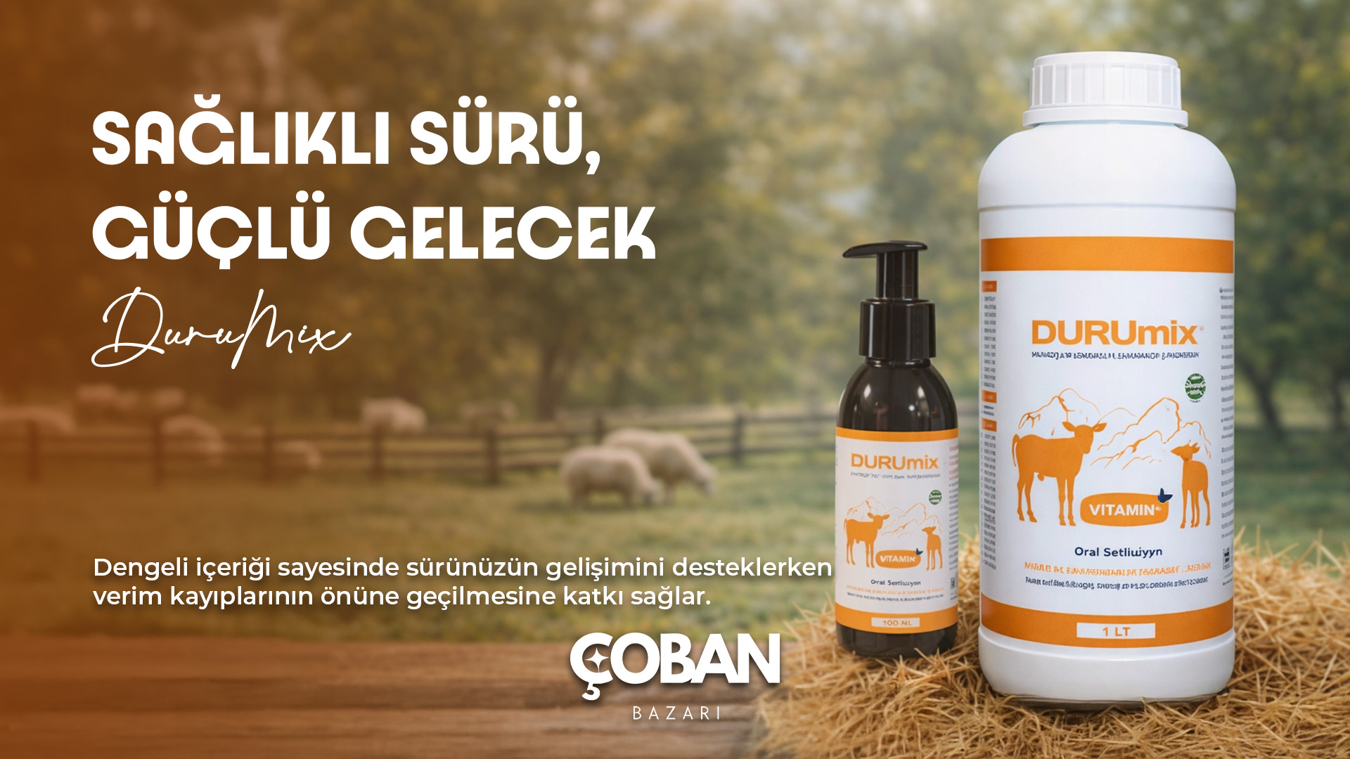 Hayvan Sağlığına B1, B2, B6, B12 Desteği