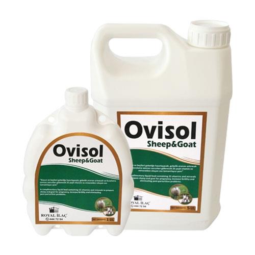 Ovisol Sheep