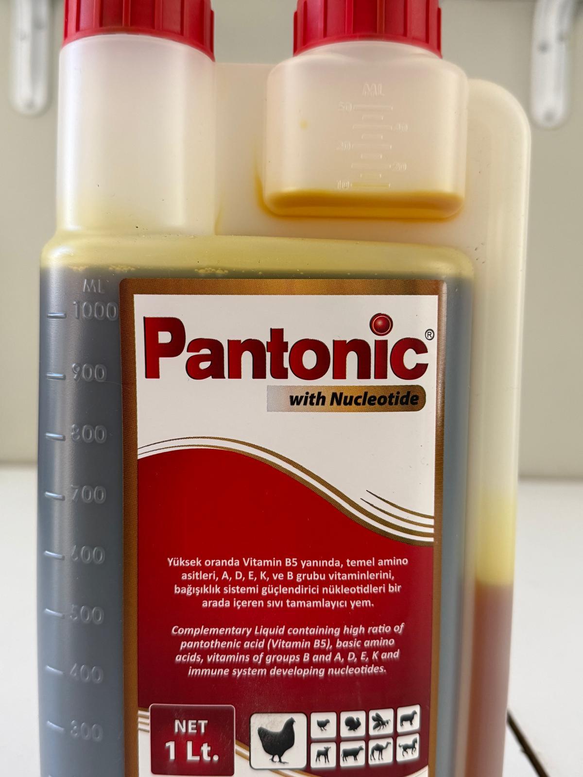 Royal İlaç Pantonic 1 Lt. Vitamin ve Mineral Desteği