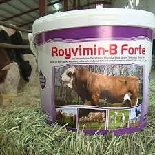 Royal Royvimin B Forte Toz Besi Hayvanı Yem Katkısı Kova 25 Kg