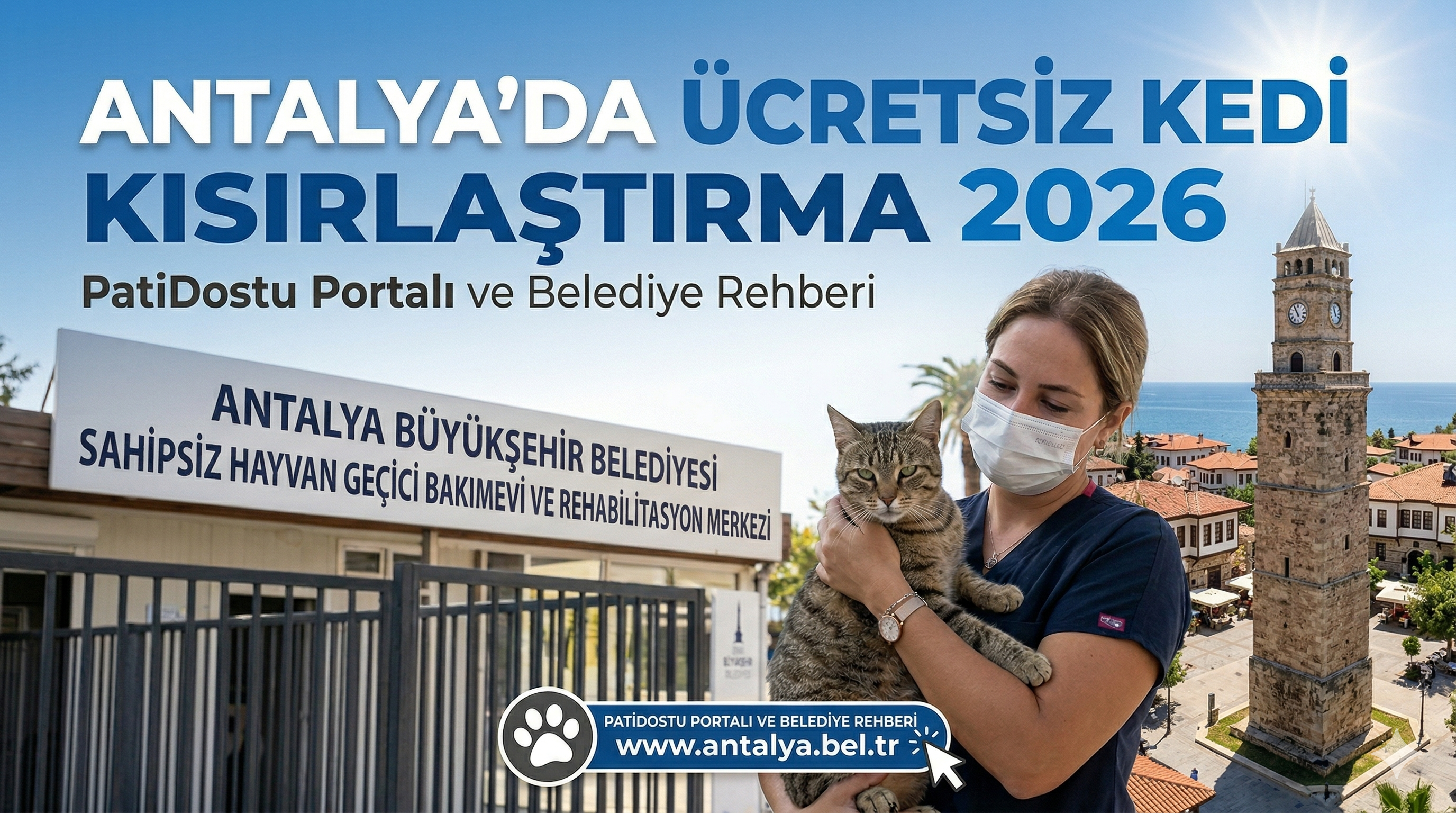 Antalya Ücretsiz Kedi Kısırlaştırma 2026 — PatiDostu Portalı ve Belediye Rehberi | Mismama.com