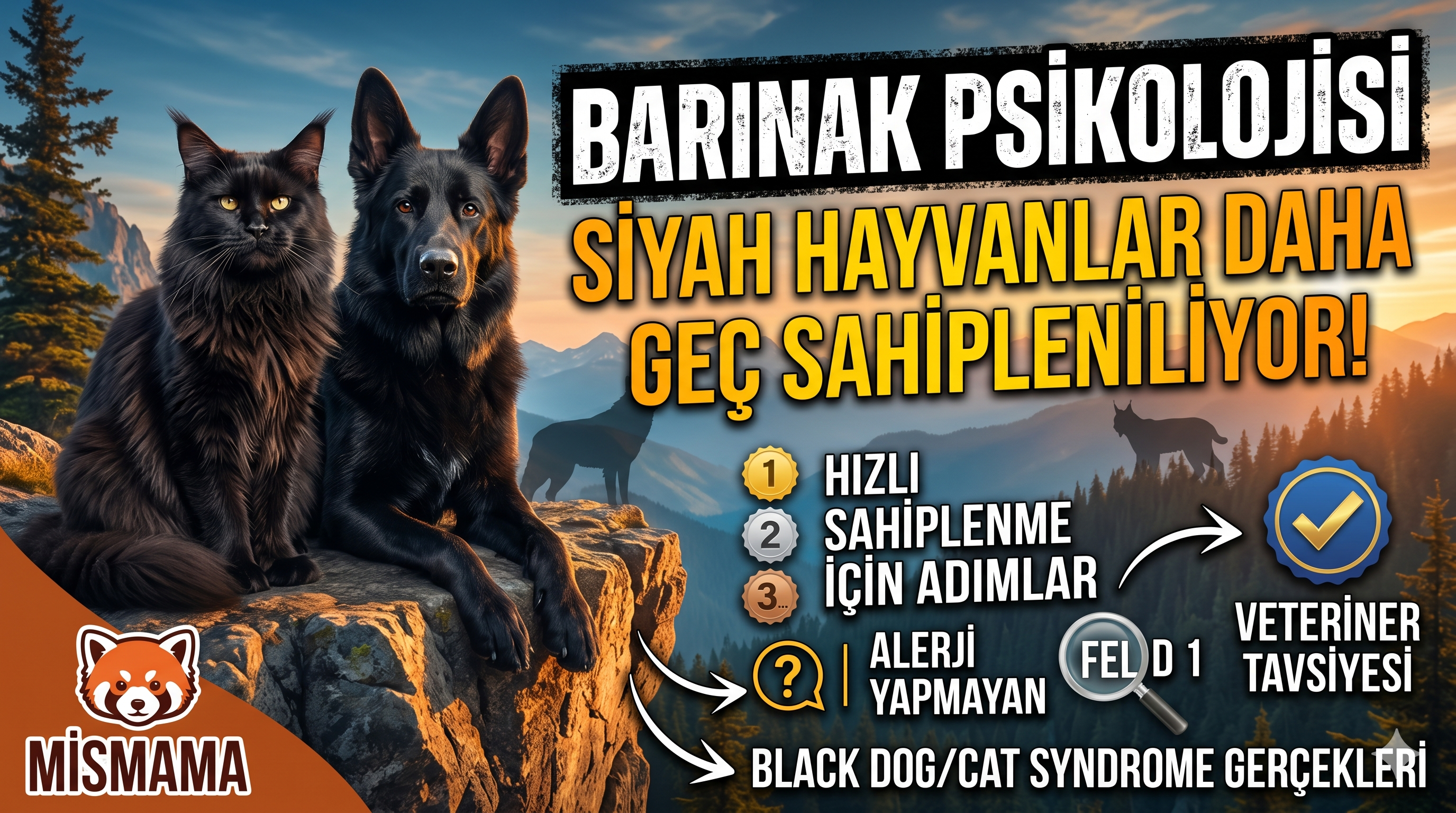 Black Dog Cat Syndrome — Siyah Hayvanlar Barınakta Neden Kalır? | Mismama.com