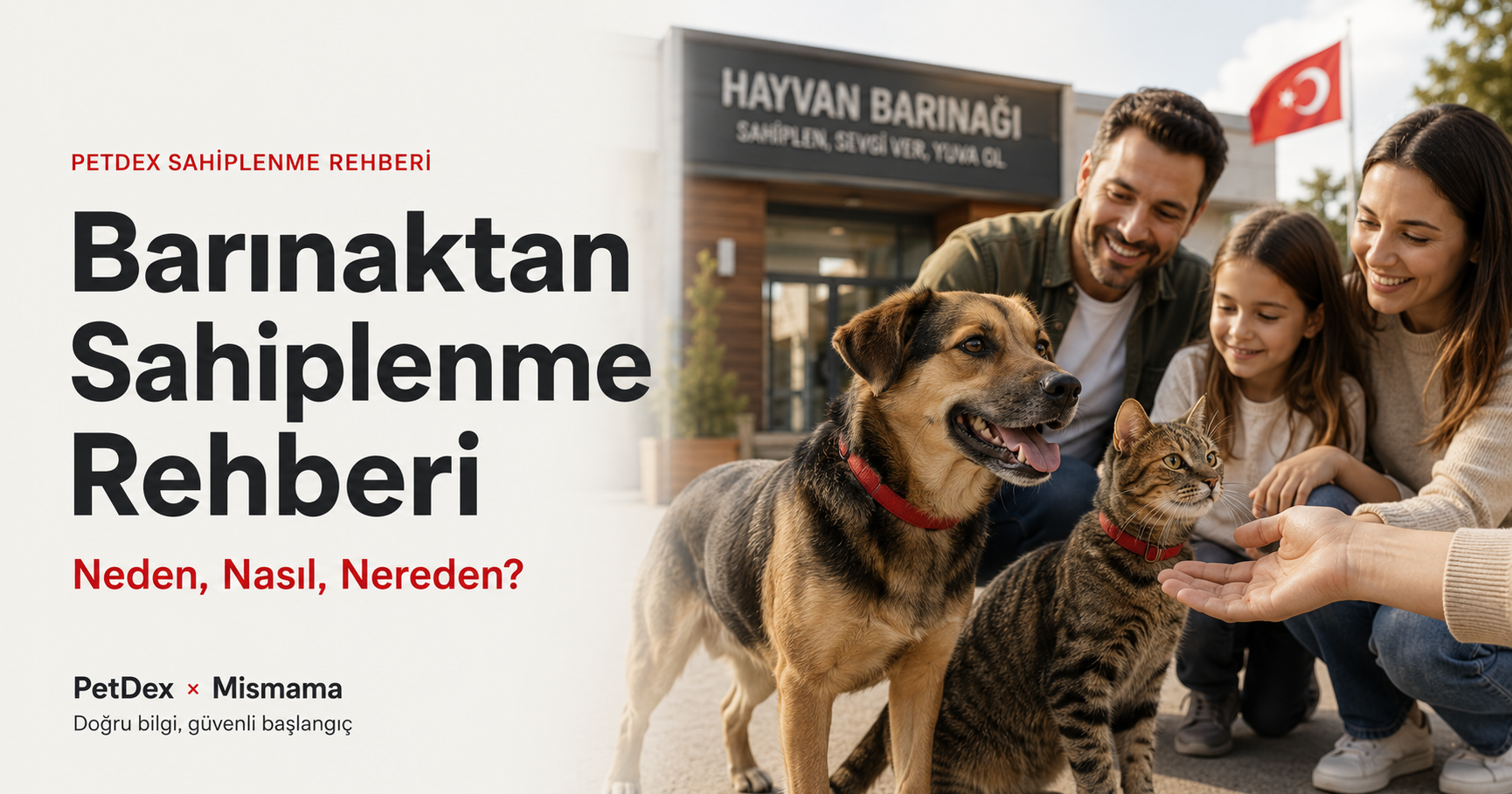 Barınaktan sahiplenme rehberi 2026 neden nasıl nereden - belediye barınakları HAYTAP kedi köpek adopte adopt not shop 81 il Türkiye sahiplendirme süreci aşı çip kısırlaştırma yasal Mismama Petdex
