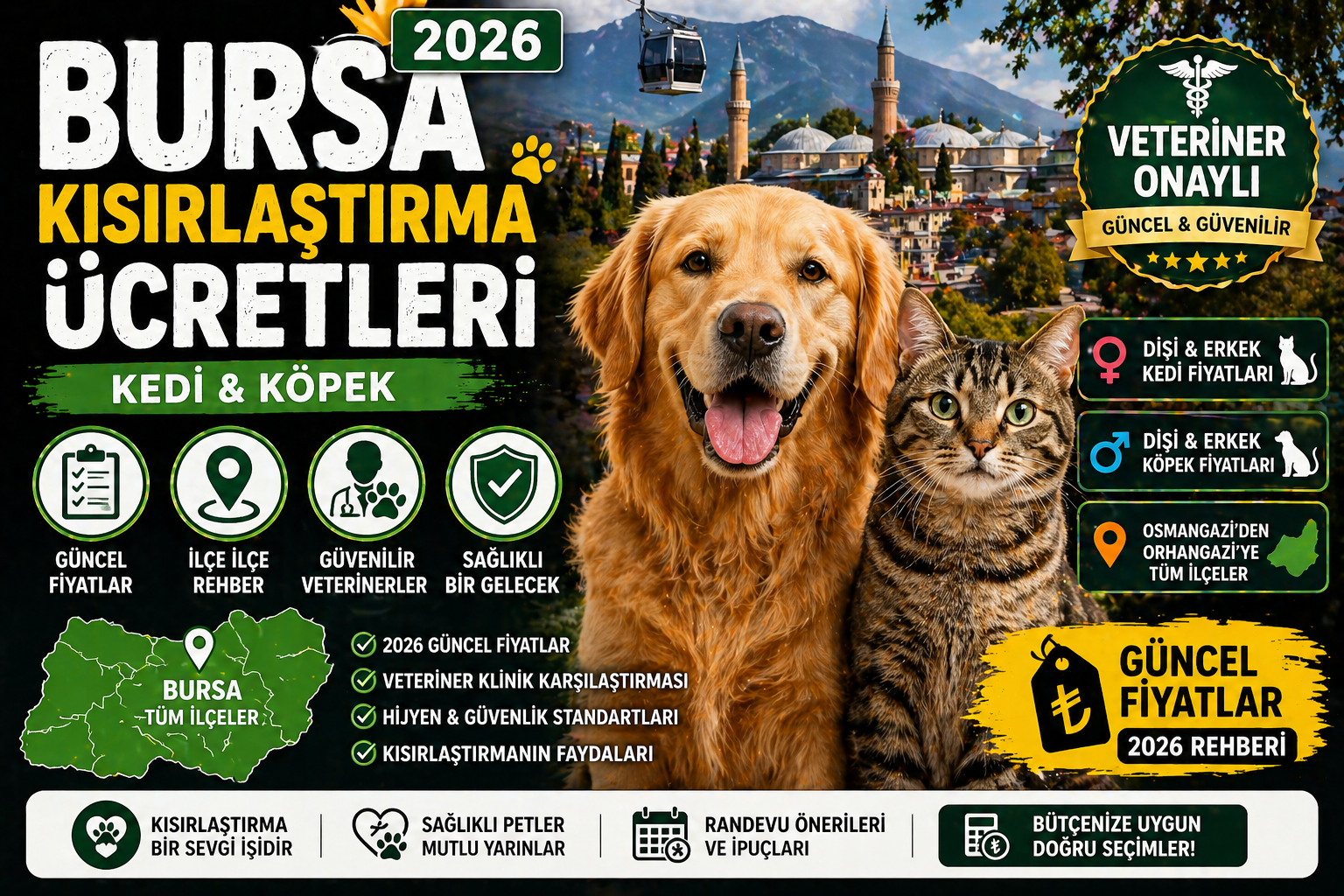 Bursa kısırlaştırma ücretleri 2026 kedi köpek veteriner fiyatları Nilüfer Osmangazi Yıldırım rehberi Mismama
