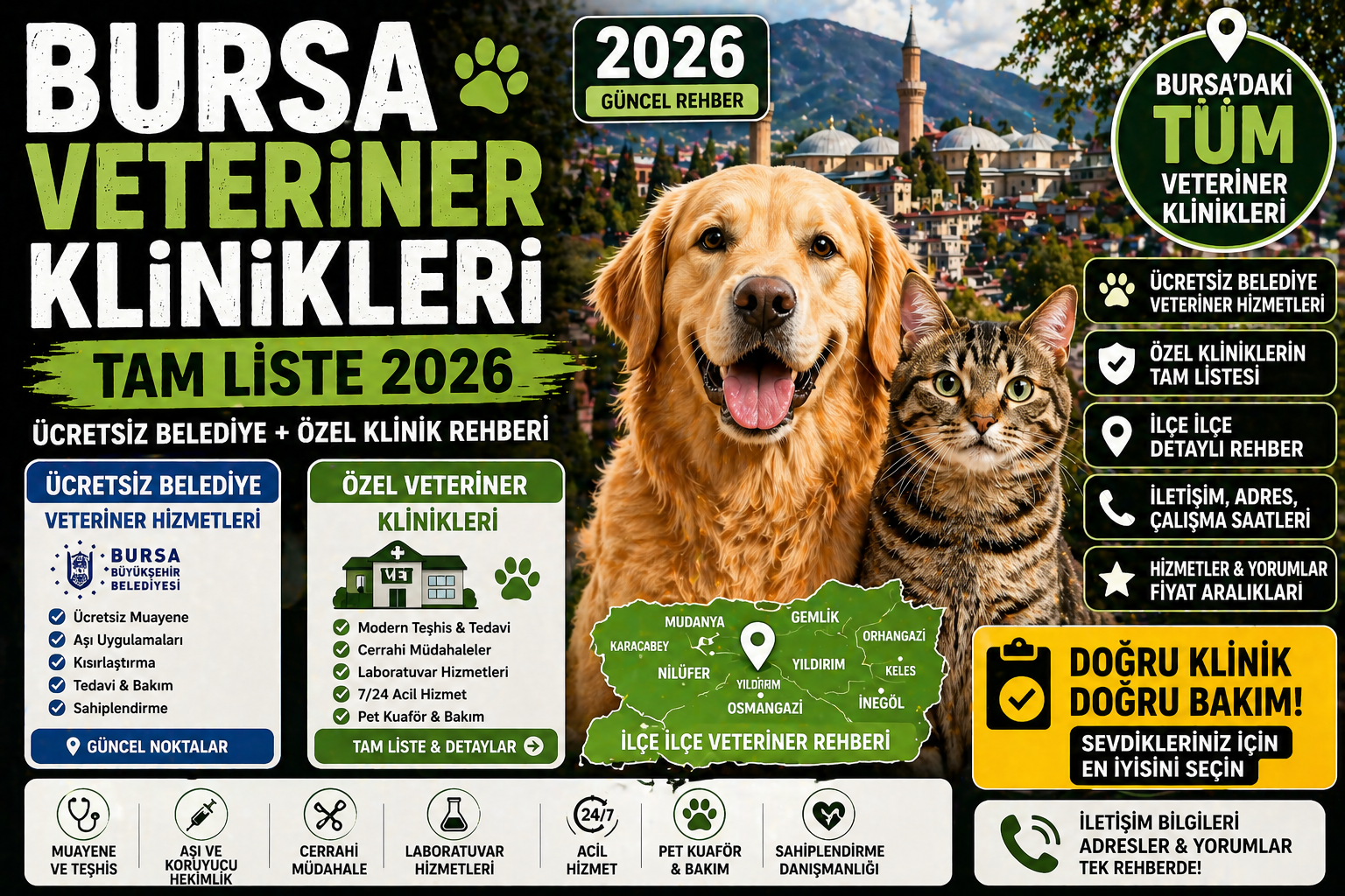 Bursa veteriner klinikleri tam liste 2026 ücretsiz belediye özel klinik rehberi Mismama
