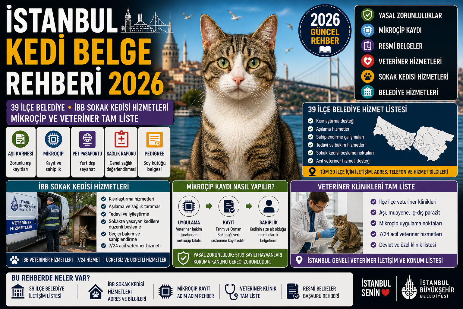 İstanbul Kedi Belge Rehberi 2026 — 39 İlçe Belediye, İBB Sokak Kedisi Hizmetleri, Mikroçip ve Veteriner Tam Liste | Mismama.com