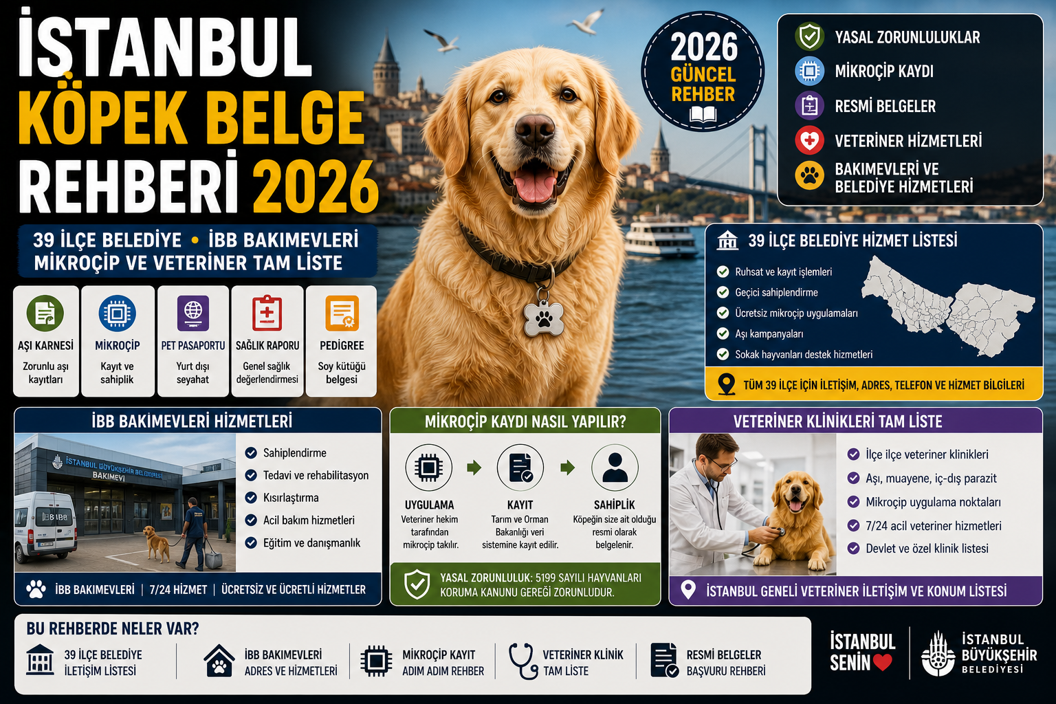 İstanbul Köpek Belge Rehberi 2026 — 39 İlçe Belediye, İBB Bakımevleri, Mikroçip ve Veteriner Tam Liste | Mismama.com