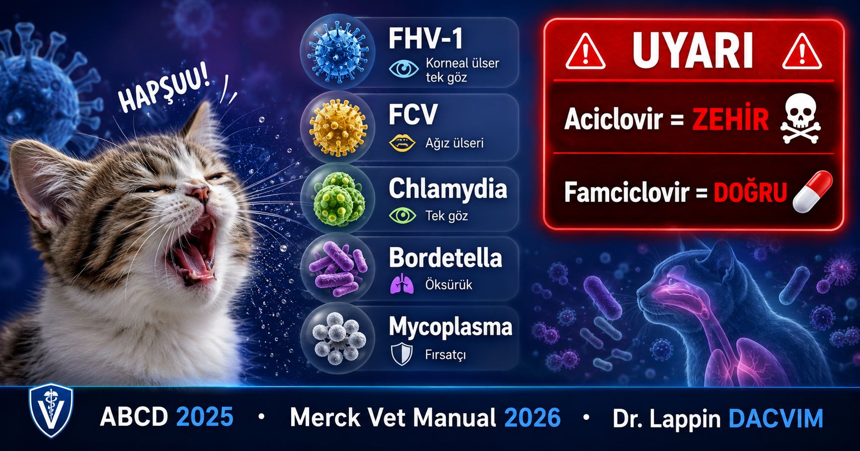 Kedi hapşırıyor herpesvirus calicivirus chlamydia ayırıcı tanı 2026 Mismama bilimsel rehber