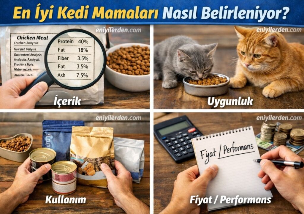 En İyi Kedi Maması Markaları ve Sağlıklı Beslenme İçerikleri