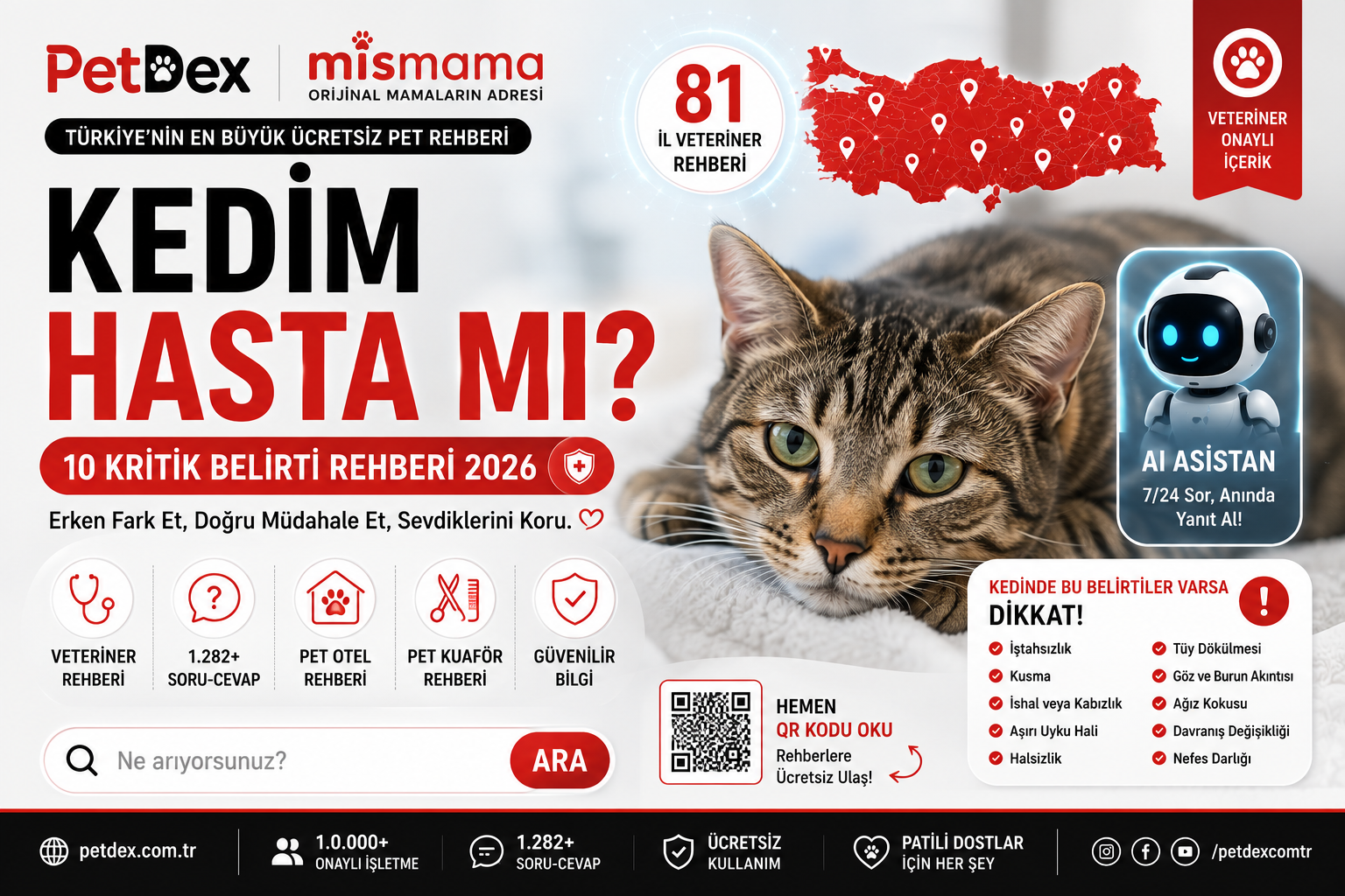 Kedim hasta mı 10 kritik belirti erken uyarı rehberi 2026 - iştahsızlık letarji kusma ishal susama artışı kilo kaybı davranış değişikliği kürk sorunları nefes acil ne zaman veterinere gidilmeli Mismama
