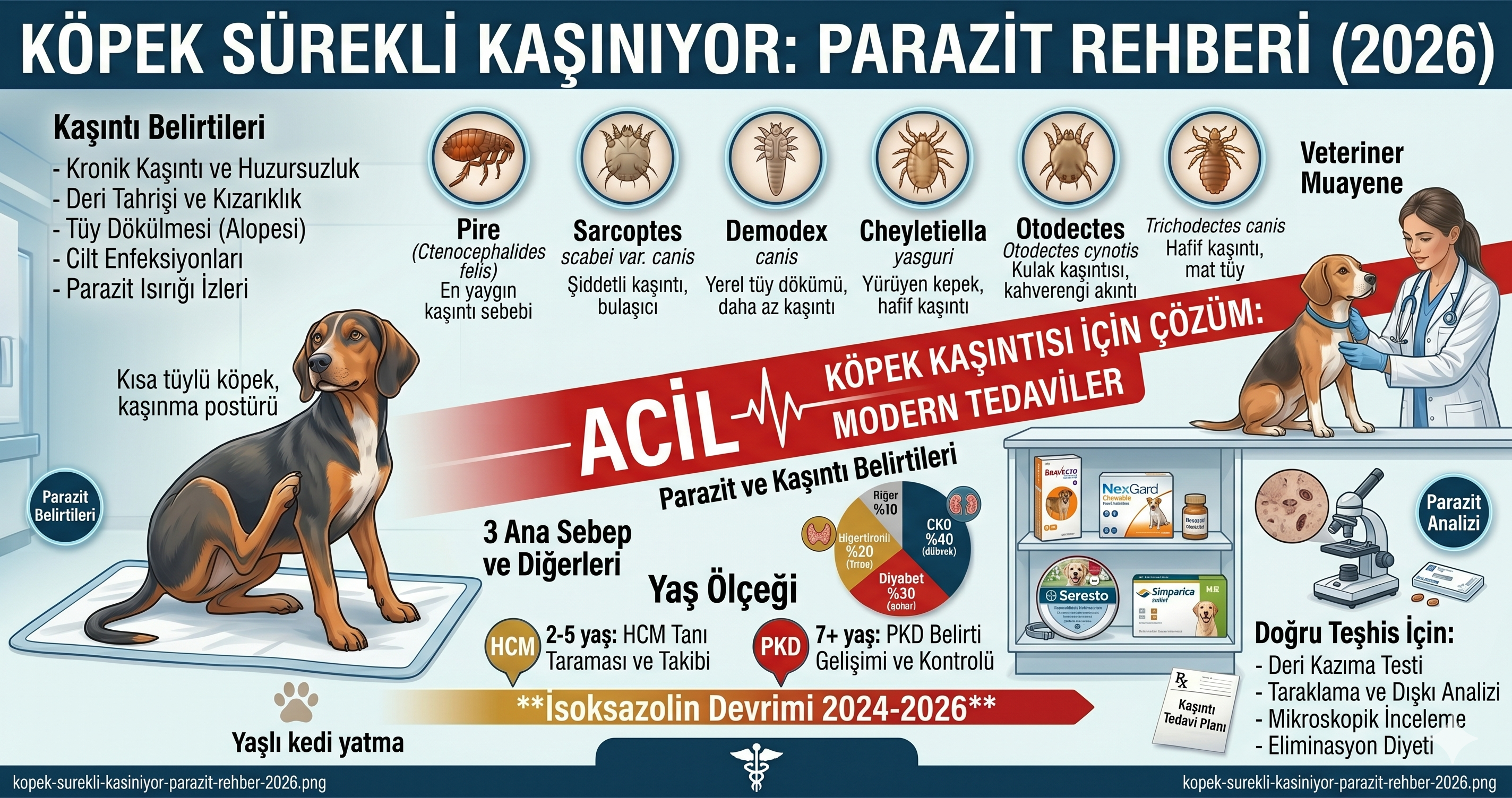 Köpek sürekli kaşınıyor parazit nedenleri - pire alerjisi FAD Sarcoptes uyuz zoonotik Demodex Cheyletiella Otodectes kulak uyuzu modern isoksazolin Bravecto NexGard Simparica Credelio 2026 Mismama bilimsel rehber