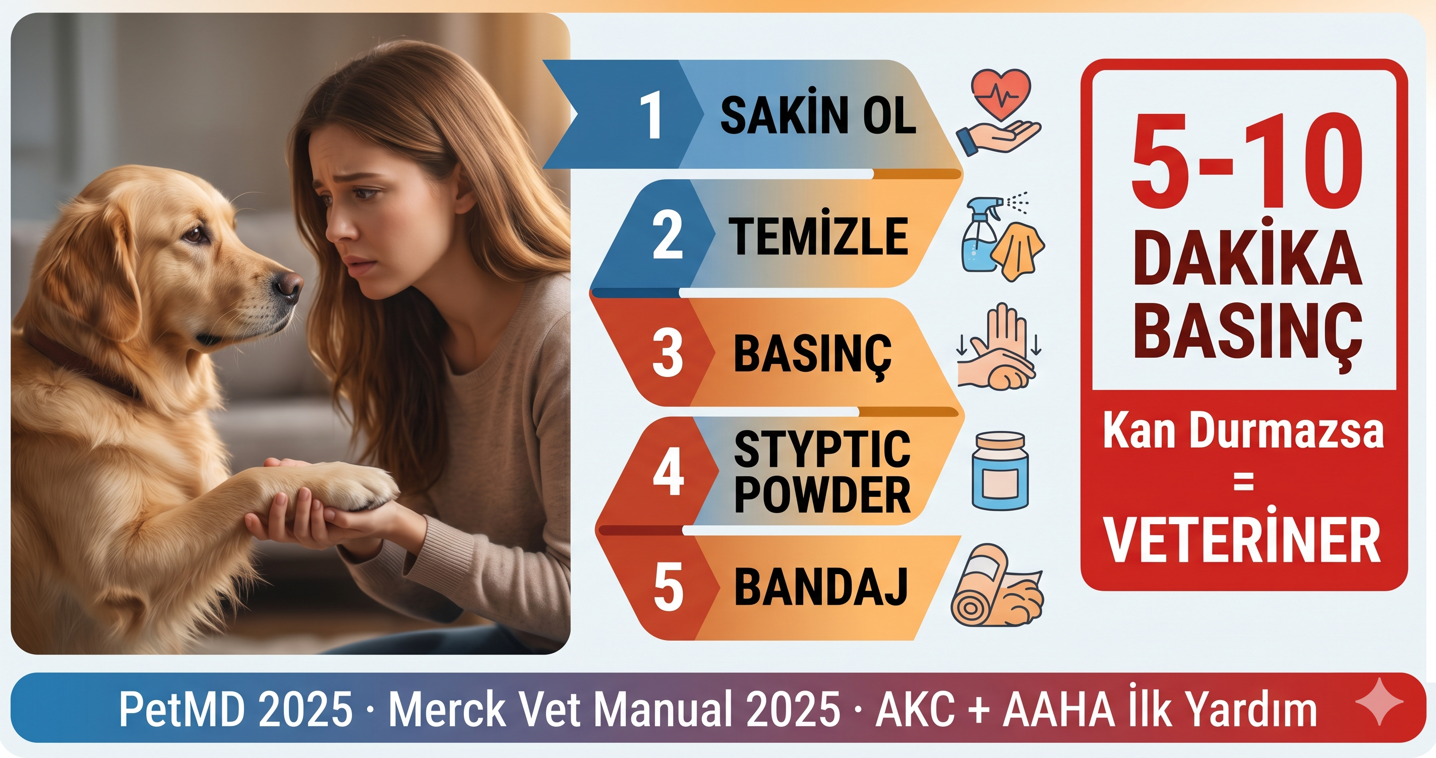 Köpek tırnağı kırıldı acil müdahale styptic powder kanama durdurma quick pulpa kesi P3 kemik 2026 Mismama bilimsel rehber