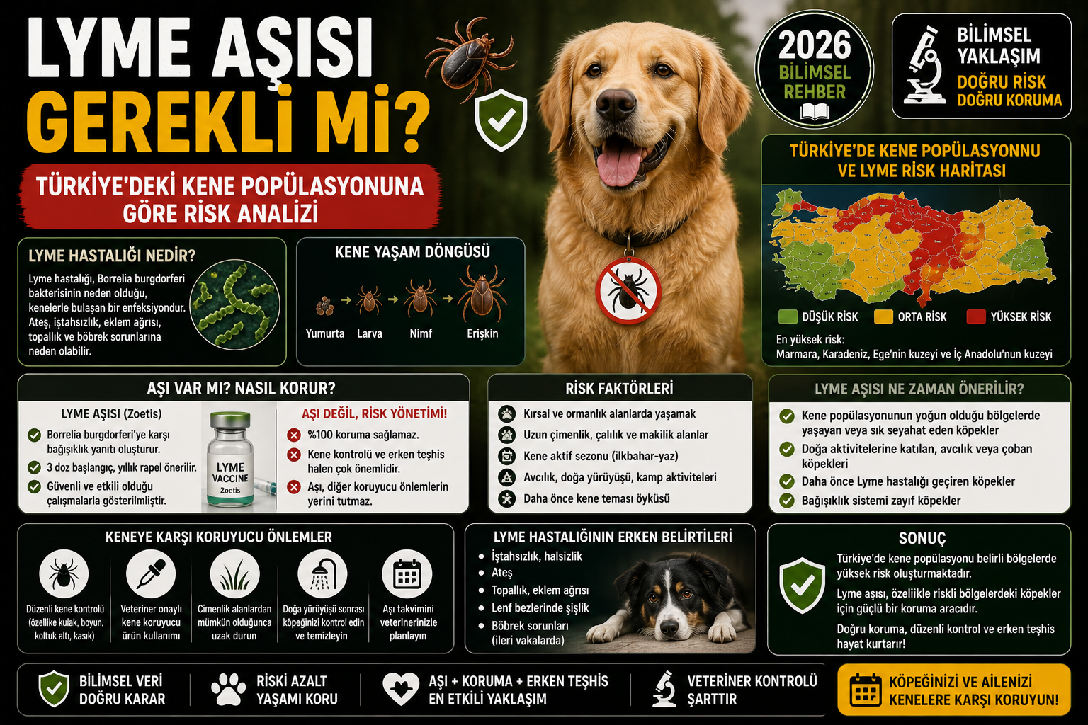 Köpek Lyme aşısı Türkiye kene risk analizi Borrelia Hyalomma Ixodes 2026 Mismama