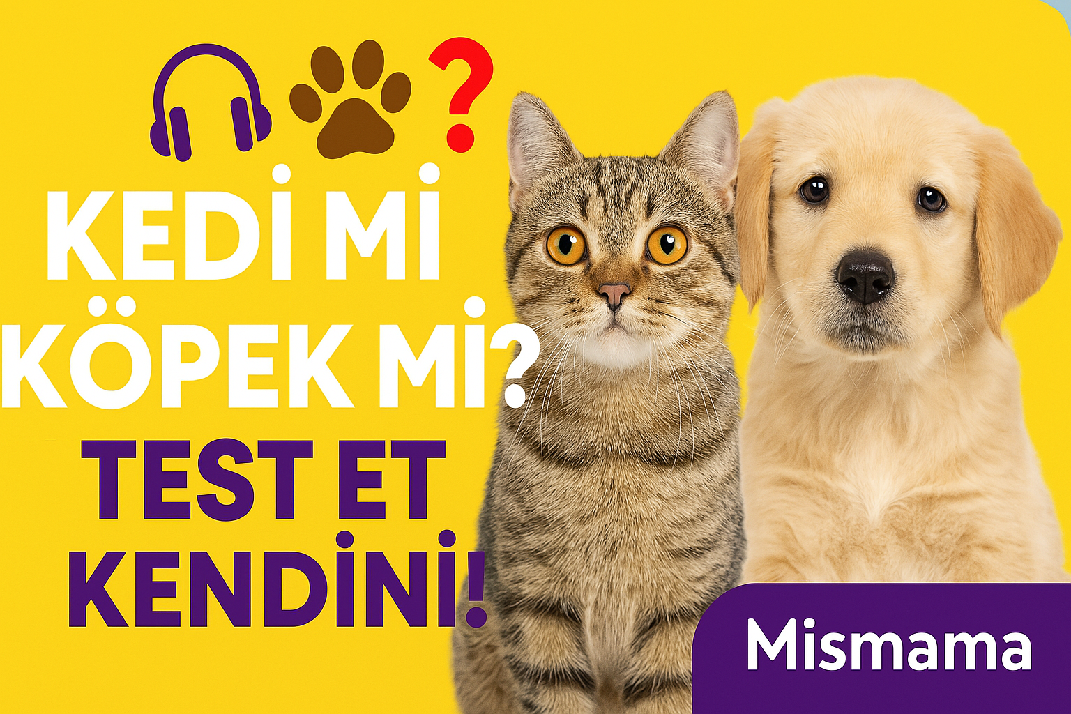 Mismama YouTube Kanalı: Patili Dostlarımız İçin Eğlence, Bilgi ve Sevgi Dolu Bir Dünya