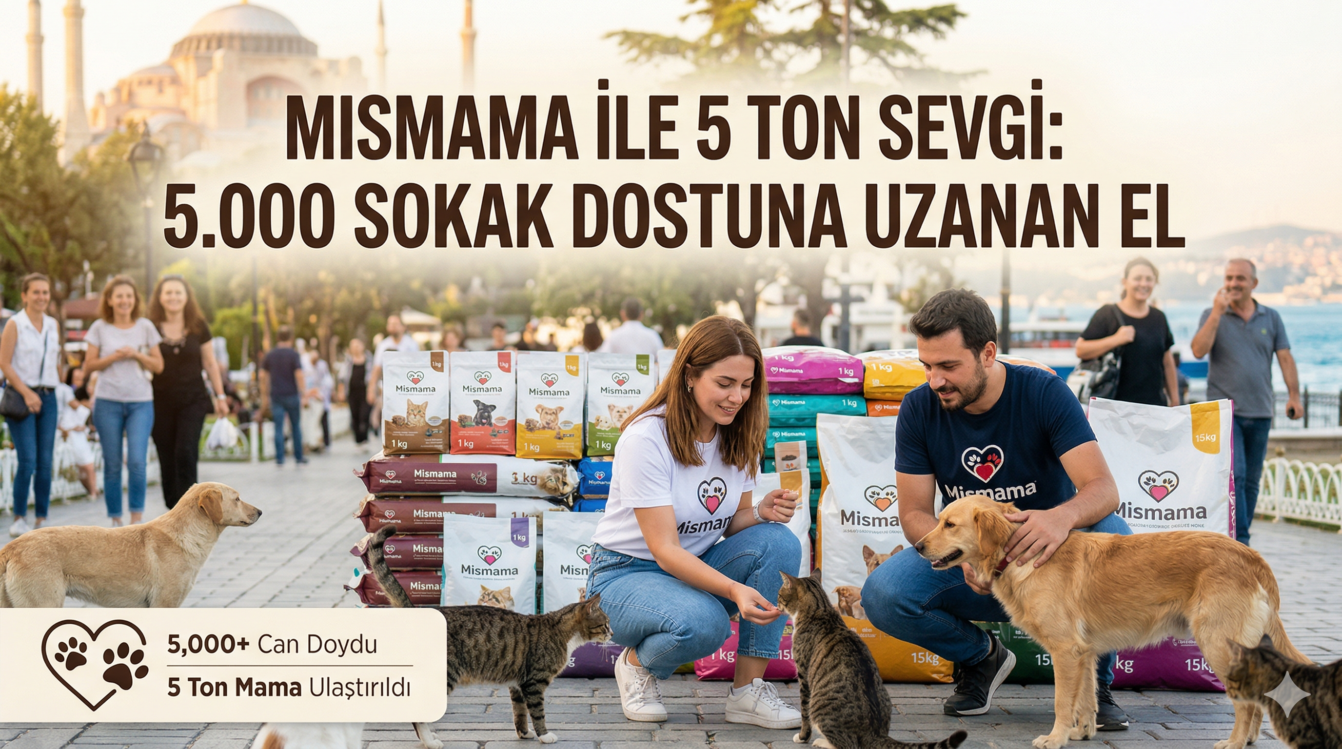 Mismama 5.000 Kişi 5 Ton Mama Sosyal Sorumluluk Projesi | Mismama.com