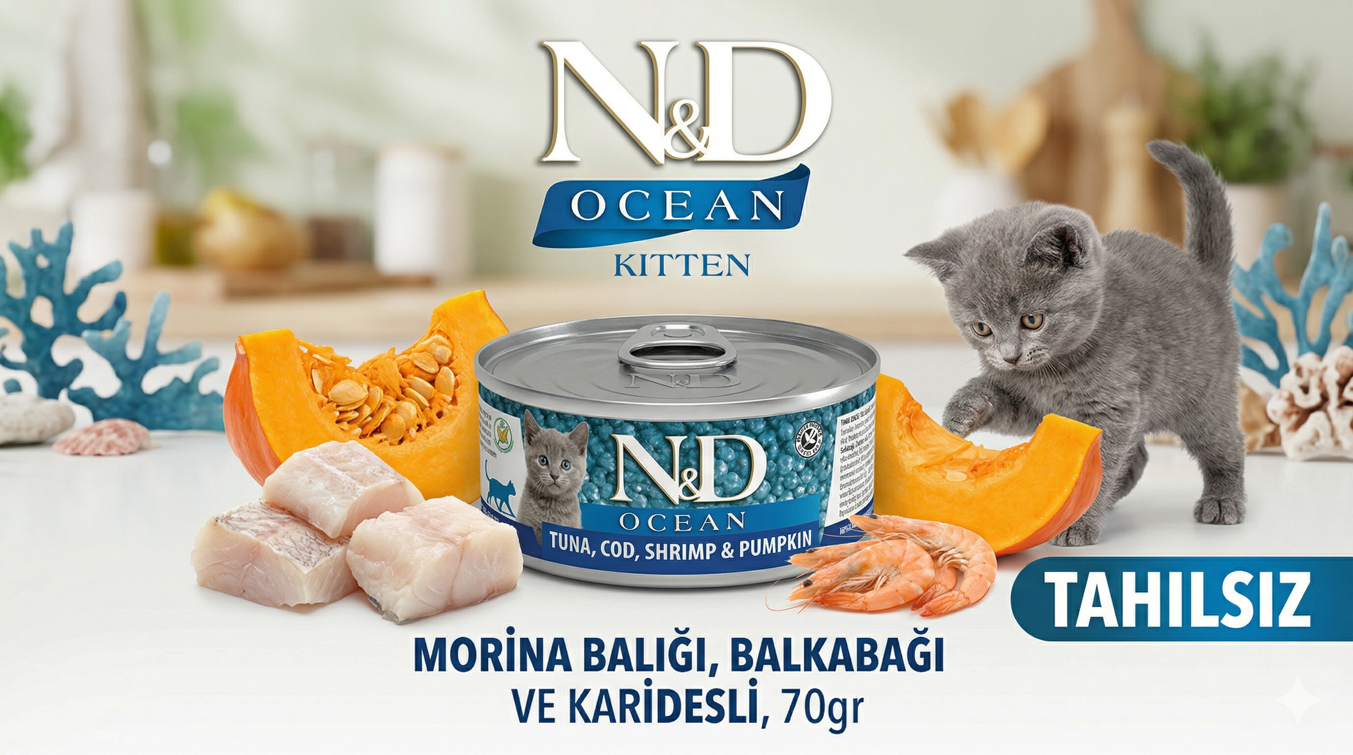 N&D Ocean Tahılsız Morina Balığı Balkabağı ve Karidesli Yavru Kedi Konservesi 70gr — İnceleme 2026 | Mismama.com