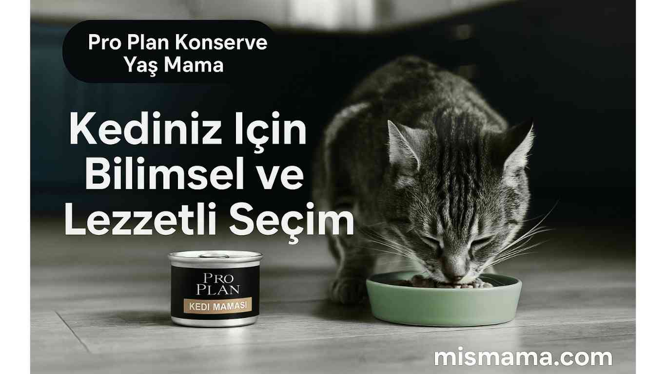pro plan kedi maması, pro plan yaş mama, pro plan konserve, pro plan konserve yaş mama, kedi yaş mama, kediler için yaş mama, konserve kedi maması, yaş mama tavsiyesi, en iyi kedi maması, hassas kediler için mama, mismama.com, kedi maması önerileri, kedi