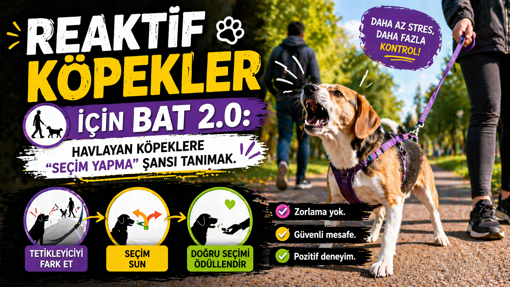 Reaktif köpek eğitimi BAT 2.0 - uzun tasma ile parkta seçim özgürlüğü - Grisha Stewart yöntemi Türkiye rehberi Mismama 2026