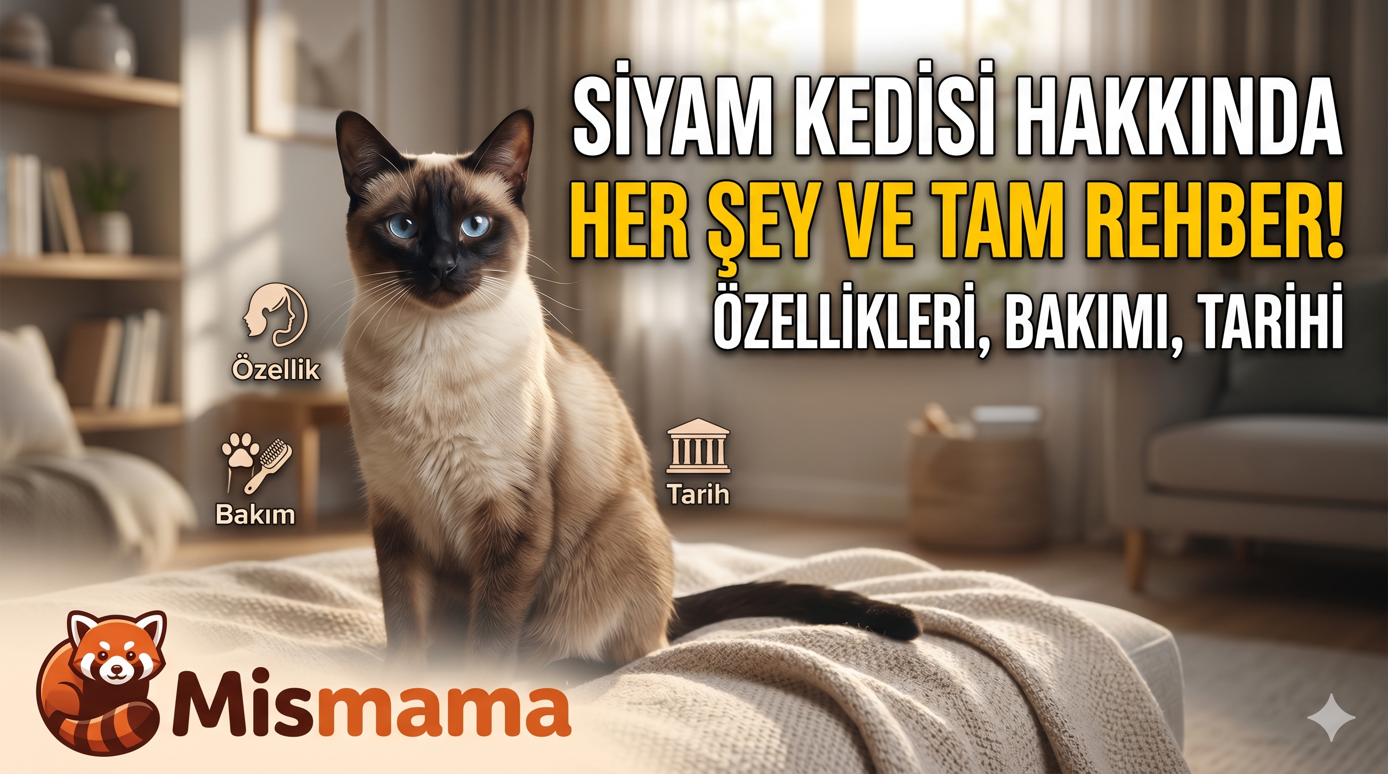 Siyam Kedisi — Tarih, Özellik ve Bakım Rehberi | Mismama.com