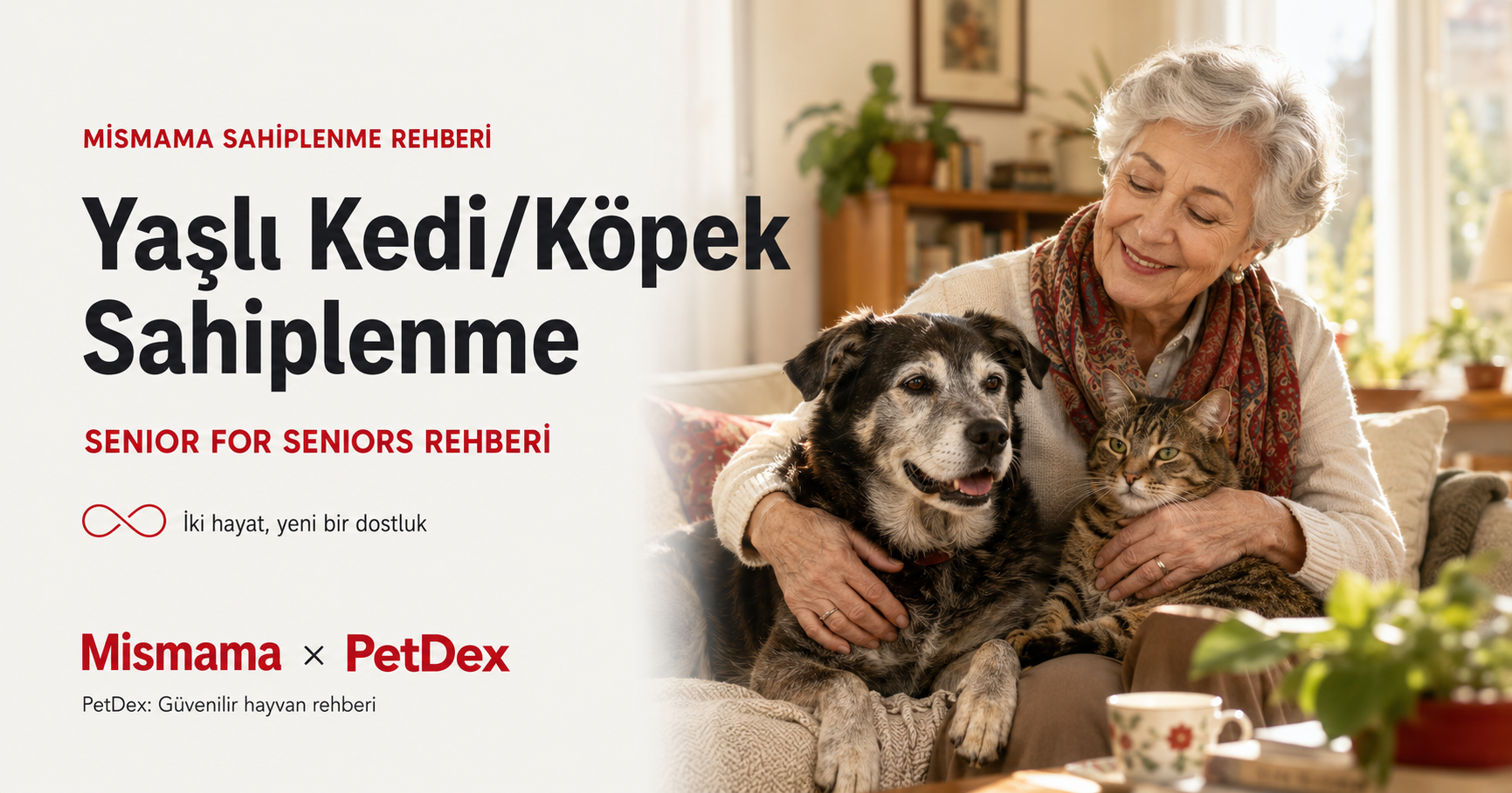 Yaşlı kedi köpek sahiplenme rehberi 2026 senior for seniors konsepti - 7 yaş üzeri barınakta yaşlı hayvan adopte etme özel bakım CKD hipertiroidi osteoartrit ortopedik yatak yaşam kalitesi Mismama Petdex