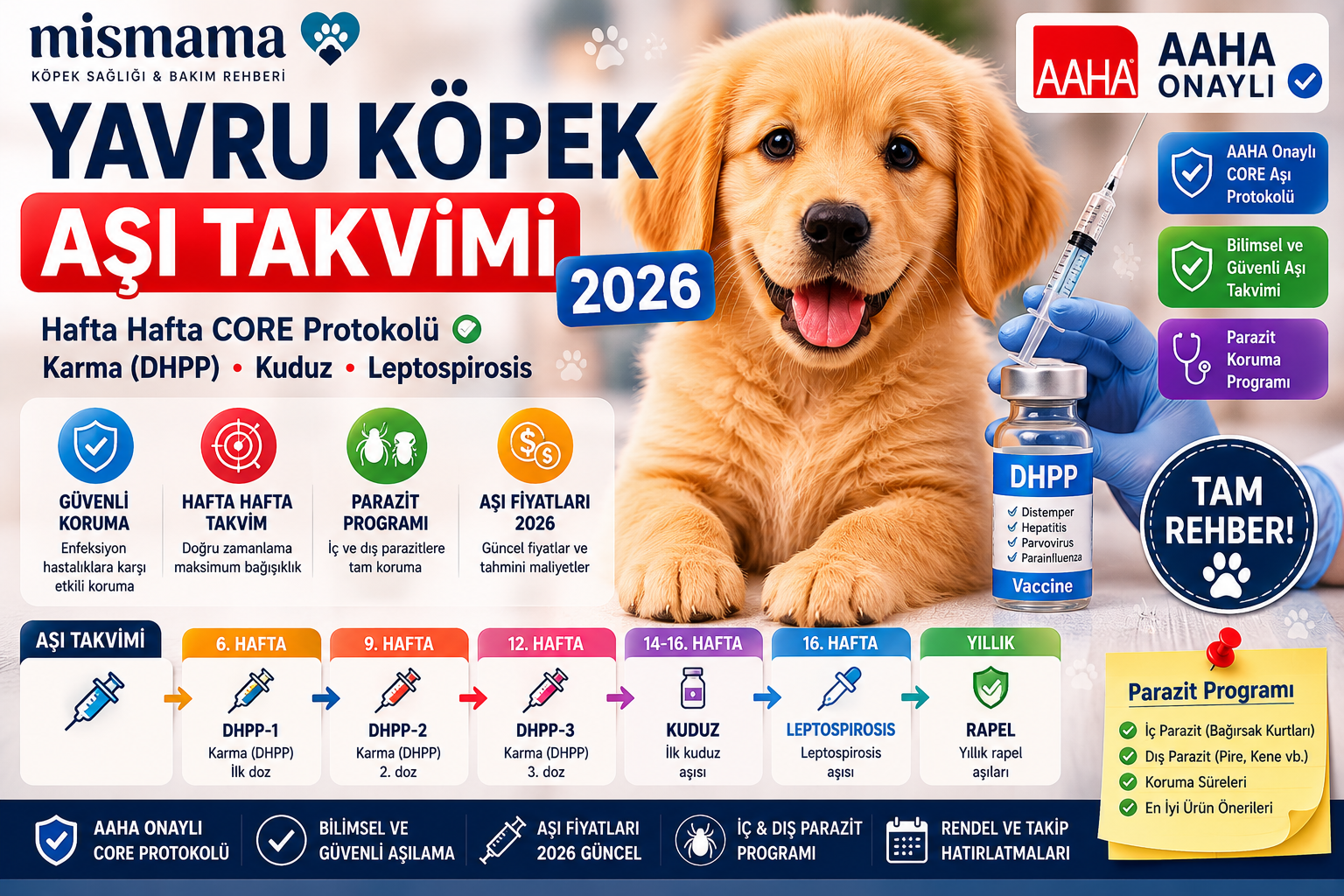 Yavru köpek aşı takvimi 2026 - hafta hafta karma DHPP kuduz leptospirosis protokol, AAHA onaylı, Mismama veteriner rehberi