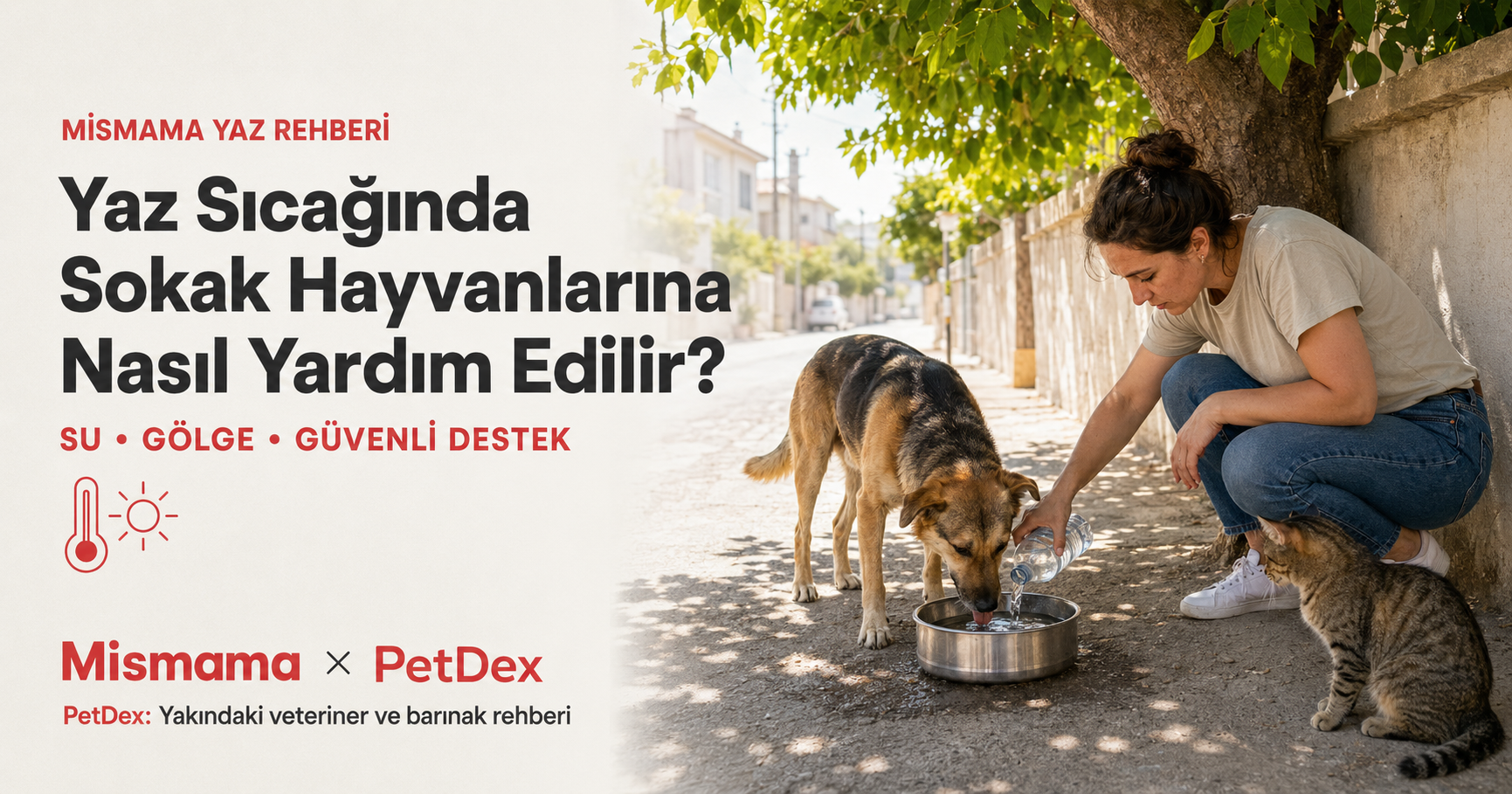 Yaz sıcağında sokak hayvanları nasıl yardım edilir 2026 - sıcak çarpması ilk yardım su mama gölge pişmiş toprak kase yaralı bulundu veteriner barınak destek Mismama Petdex sokak hayvan koruma kampanyası