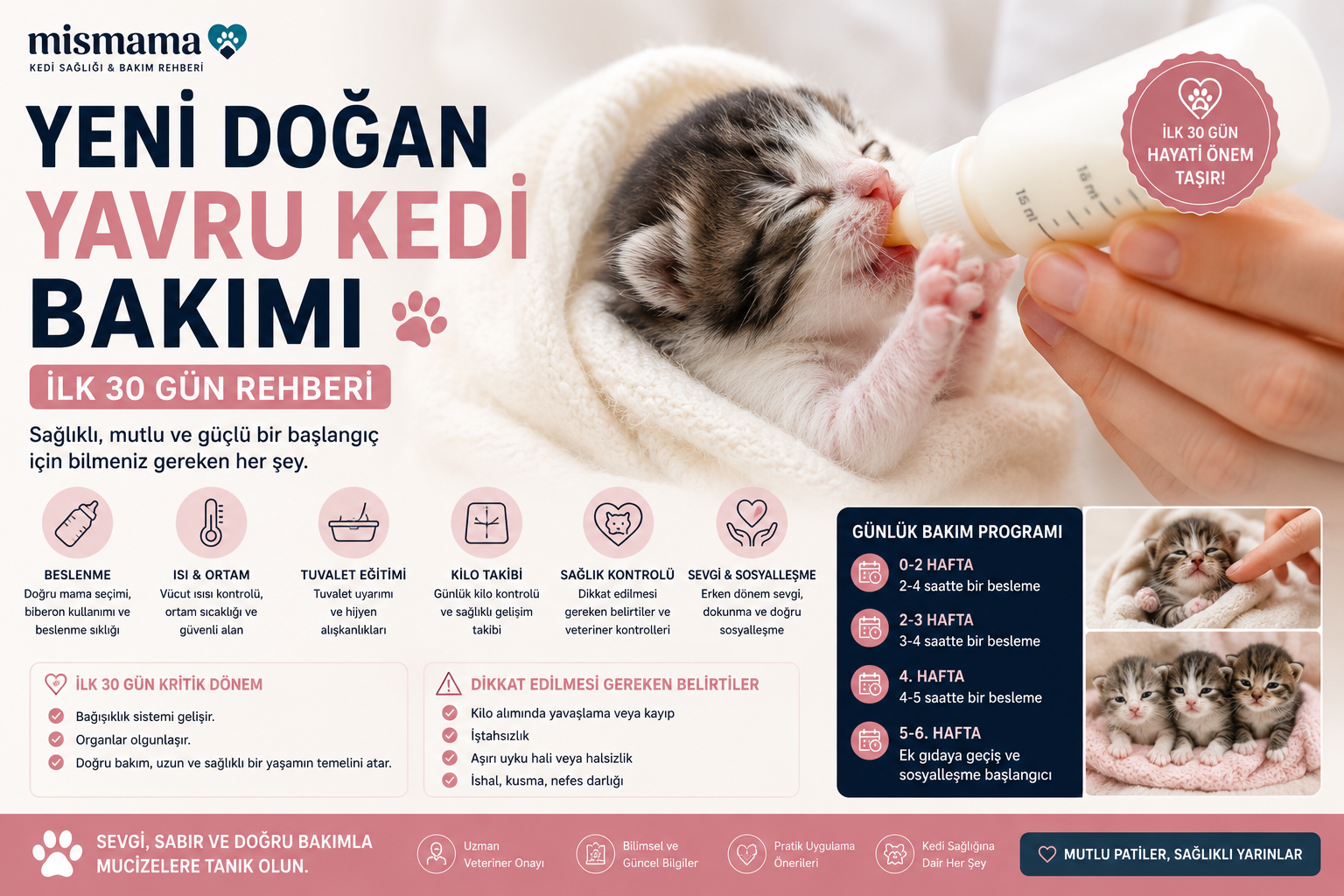 Biberonla beslenen yeni doğan yavru kedi - ilk 30 gün bakım rehberi, KMR süt tozu, Mismama
