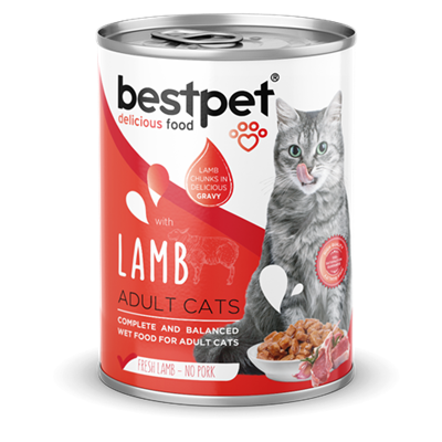 Bestpet Yetişkin Kediler İçin, Taze Kuzu Parça Etli Ve Soslu Yaş Mama 400 gr