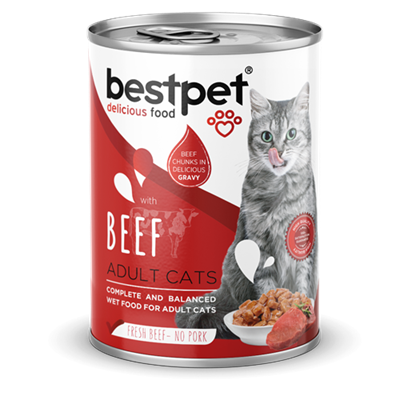 Bestpet Yetişkin Kediler İçin, Taze Sığır Parça Etli Ve Soslu Yaş Mama 400 gr