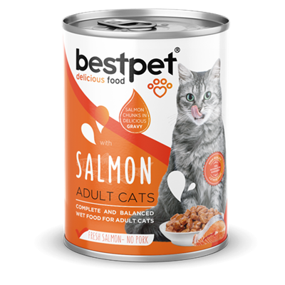 Bestpet Yetişkin Kediler İçin, Taze Somon Parça Etli Ve Soslu Yaş Mama 400 gr