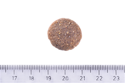 Brit Care Deri Ve Tüy Hassasiyeti Olan, Büyük Irk Yetişkin Köpekler İçin, Tahılsız, Somonlu Kuru Mama 12 kg