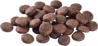 Brit Care Deri Ve Tüy Hassasiyeti Olan Büyük Irk Genç Köpekler İçin, Tahılsız, Somonlu Kuru Mama 3 kg