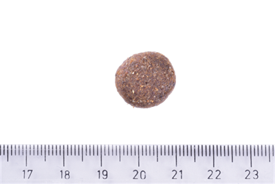 Brit Care Deri Ve Tüy Hassasiyeti Olan Büyük Irk Genç Köpekler İçin, Tahılsız, Somonlu Kuru Mama 3 kg