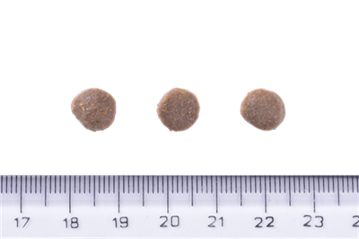 Brit Care Deri Ve Tüy Hassasiyeti Olan Yavru Köpekler İçin, Tahılsız, Somonlu Kuru Mama 3 kg