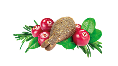 Brit Care İdrar Yolu Problemlerini Düzenlemek İçin, Tahılsız, Fonksiyonel Kedi Ödülü 50 gr