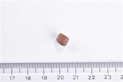 Brit Care Yavru Kediler İçin, Tahılsız, Hipoalerjenik, Taze Somonlu Kuru Mama 2 kg