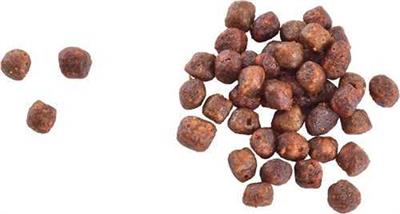 Brit Care Yavru Kediler İçin, Tahılsız, Hipoalerjenik, Taze Somonlu Kuru Mama 2 kg