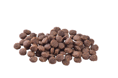 Brit Care Yavru Köpekler İçin Tek Proteinli, Hipoalerjenik, Kuzu Etli Kuru Mama 3 kg