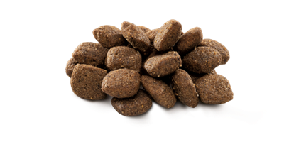 Brit Premium By Nature Hassas Sindirime Sahip Köpekler İçin, Kuzu Etli Kuru Mama 8 kg