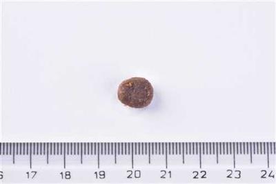 Brit Premium By Nature Kısırlaştırılmış Kediler İçin, Somon Balıklı Kuru Mama 8 kg