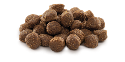 Brit Premium By Nature Orta Irk Yetişkin Köpekler İçin, Tavuk Etli Kuru Mama 15 kg