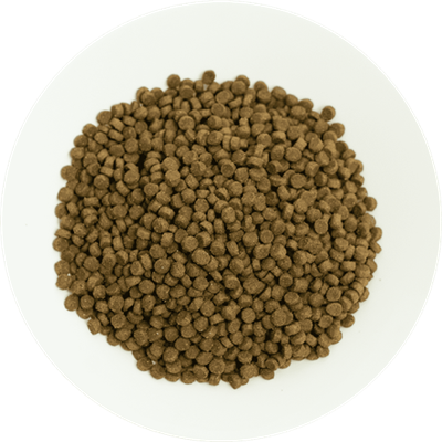 Prochoice Pro 38 Kuzulu Yavru Kedi Maması 15 Kg