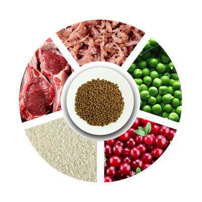 Prochoice Pro 38 Kuzulu Yavru Kedi Maması 15 Kg