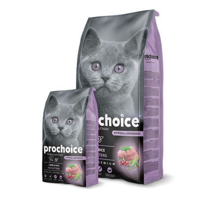 Prochoice Pro 38 Kuzulu Yavru Kedi Maması 15 Kg