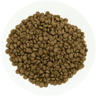 Prochoice Yavru Köpekler İçin, Hipoalerjenik, Kuzu Etli Ve Pirinçli Kuru Mama 12 kg