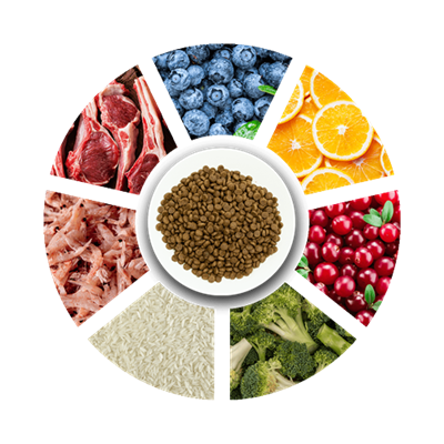 Prochoice Yavru Köpekler İçin, Hipoalerjenik, Kuzu Etli Ve Pirinçli Kuru Mama 12 kg