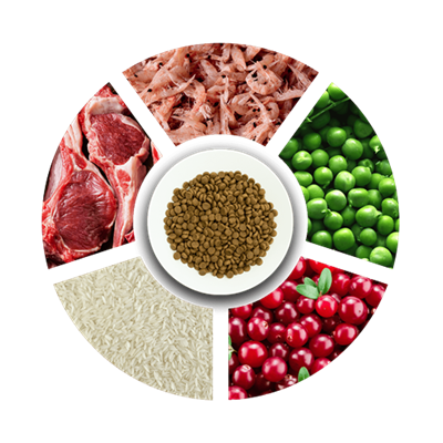 Prochoice Yetişkin Kediler İçin, Hipoalerjenik, Kuzu Etli Ve Pirinçli Kuru Mama 2 kg