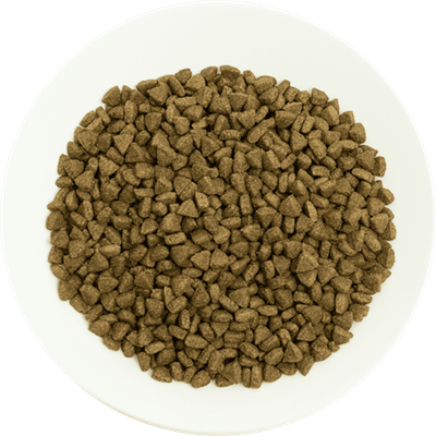 Prochoice Yetişkin Kediler İçin, Hipoalerjenik, Somon Balıklı Ve Pirinçli Kuru Mama 2 kg