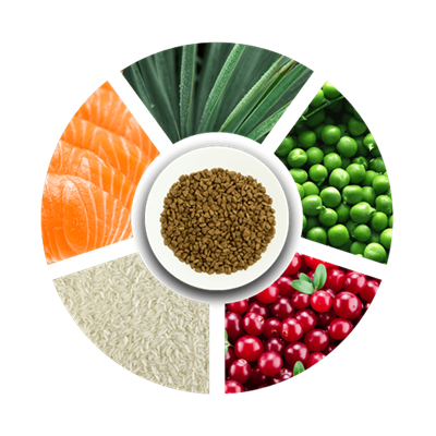 Prochoice Yetişkin Kediler İçin, Hipoalerjenik, Somon Balıklı Ve Pirinçli Kuru Mama 15 kg