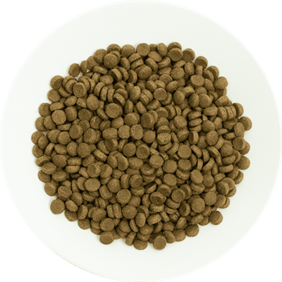 Prochoice Yetişkin Kediler İçin, Hipoalerjenik, Kuzu Etli Ve Pirinçli Kuru Mama 15 kg